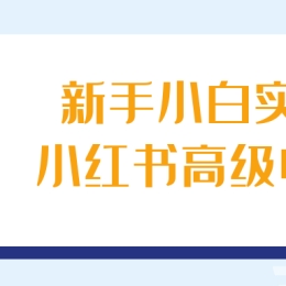 新手小白实操小红书高级电商