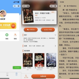 全新超火的微信小说小程序源码