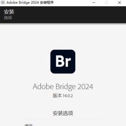 Adobe Bridge 2024 v14.1.1.274