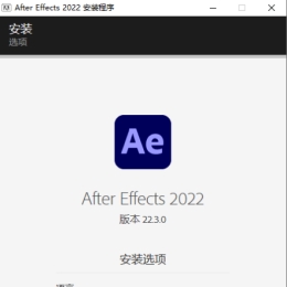 Adobe After Effects 2022 22.3