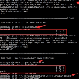 轻量级云服务器安装BBR及加速